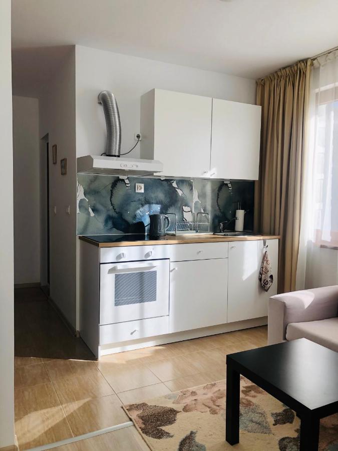 Temerso Studio-Apartment Bansko Dış mekan fotoğraf
